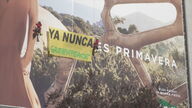 “Ya nunca es primavera”: la última campaña de Greenpeace en Madrid   