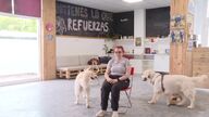 Terapias con perros contra el acoso escolar: reducen el estrés y ayudan a recuperar la autoestima de las víctimas  
