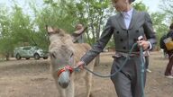 El campo llega a la ciudad con el primer Festival del Campo de Madrid 