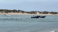El tráfico de seres humanos y las mafias que se dedican a ello dejan hoy cuatro personas muertas en la costa gaditana