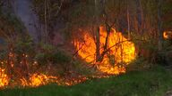 Estabilizado el incendio que quemó 100 hectáreas en el municipio coruñés de Rois 